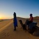 Camel ride experience in sahara