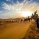 Sahara Camel trekking