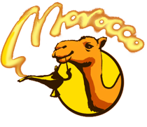Footer Logo