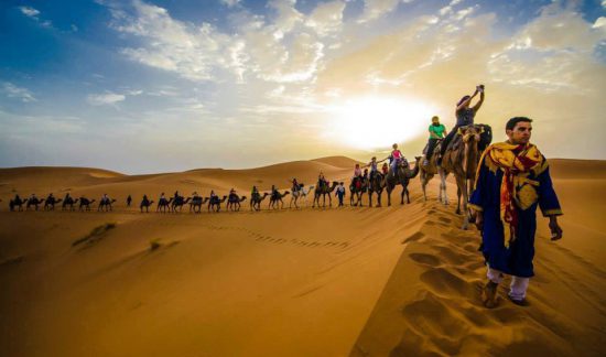 Camel trekking and Bivouac