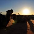 The Sahara Desert Tours From Marrakech