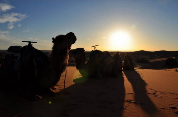 The Sahara Desert Tours From Marrakech