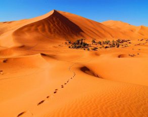 The Sahara Desert Tours From Marrakech